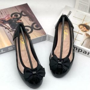 Transparent shoe