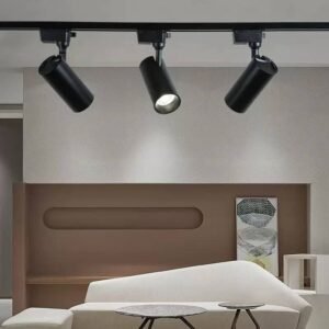 Track Light (3 in 1)