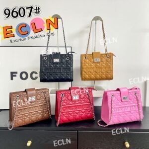 Christian  Dior Bag