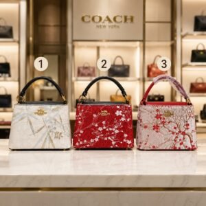 Bose Coach bag