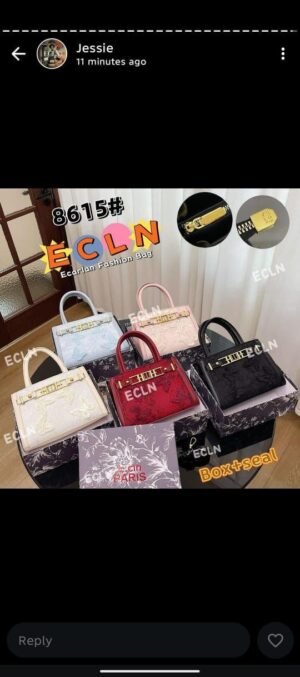Paris Bag