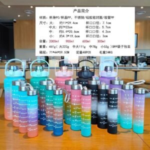 4in1 motivational  bottle