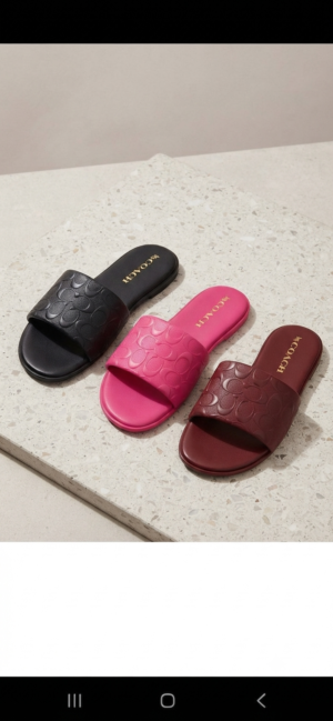Coach Slippers