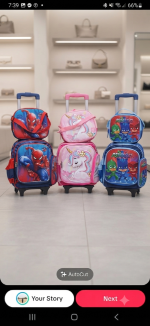 Trolley Bag 16 inches