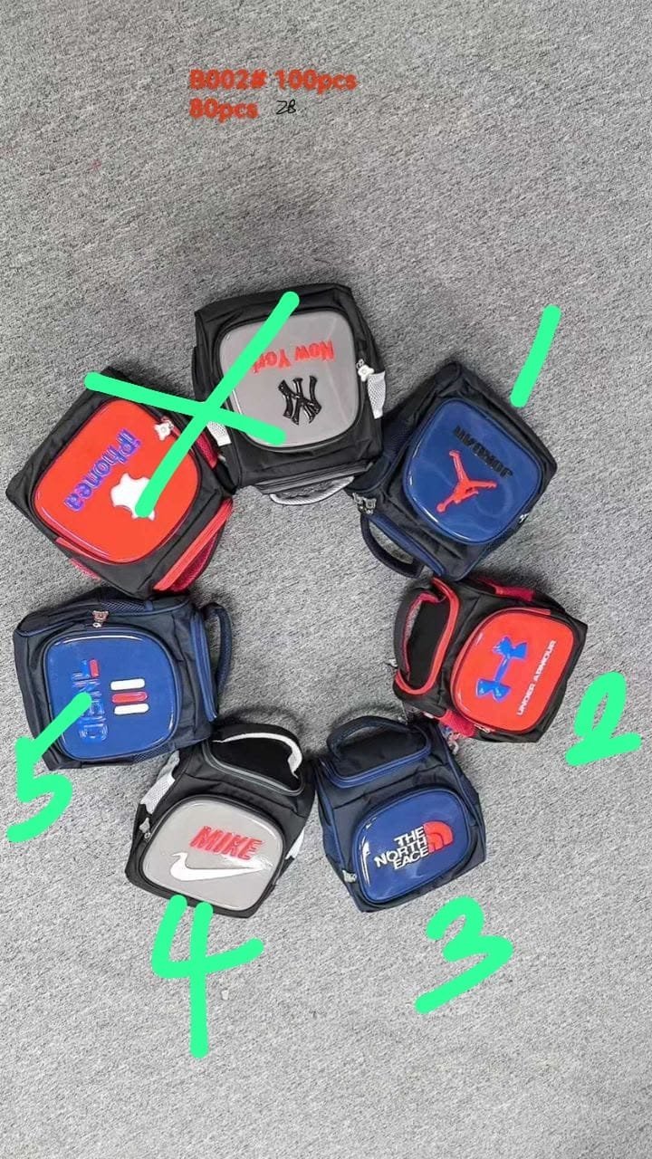 Lunch bag (10inches )