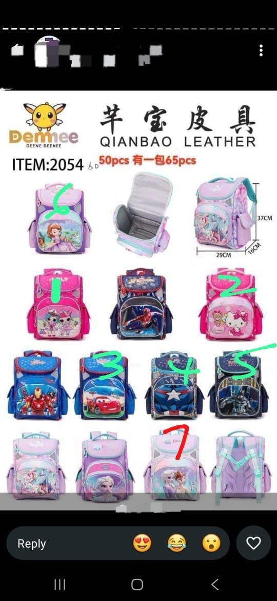 Demee (16 inches bag)