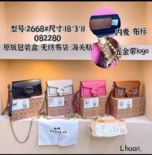 Caro mini coach bag