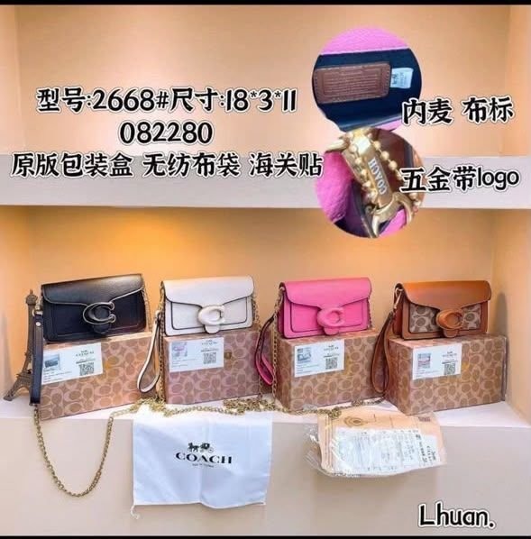 Caro mini coach bag